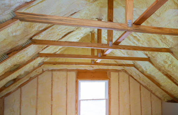 Best Insulation Replacement Services  in Obion, TN