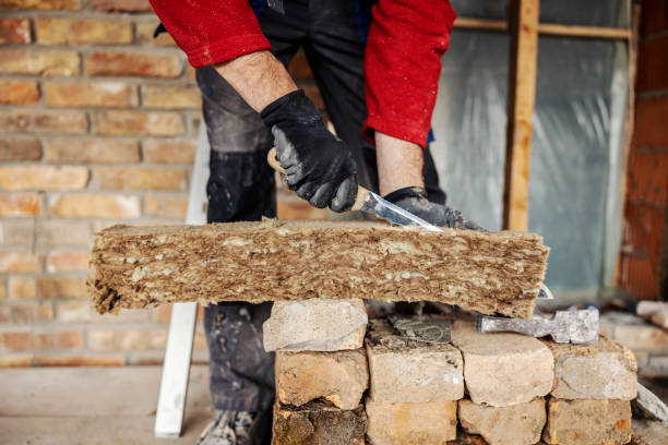 Best Attic Insulation Installation  in Obion, TN