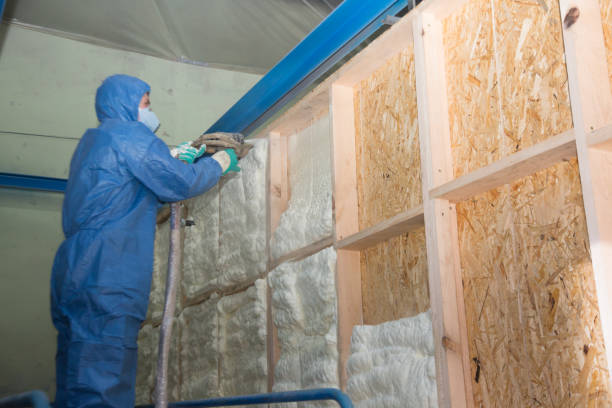 Best Home Insulation Services  in Obion, TN